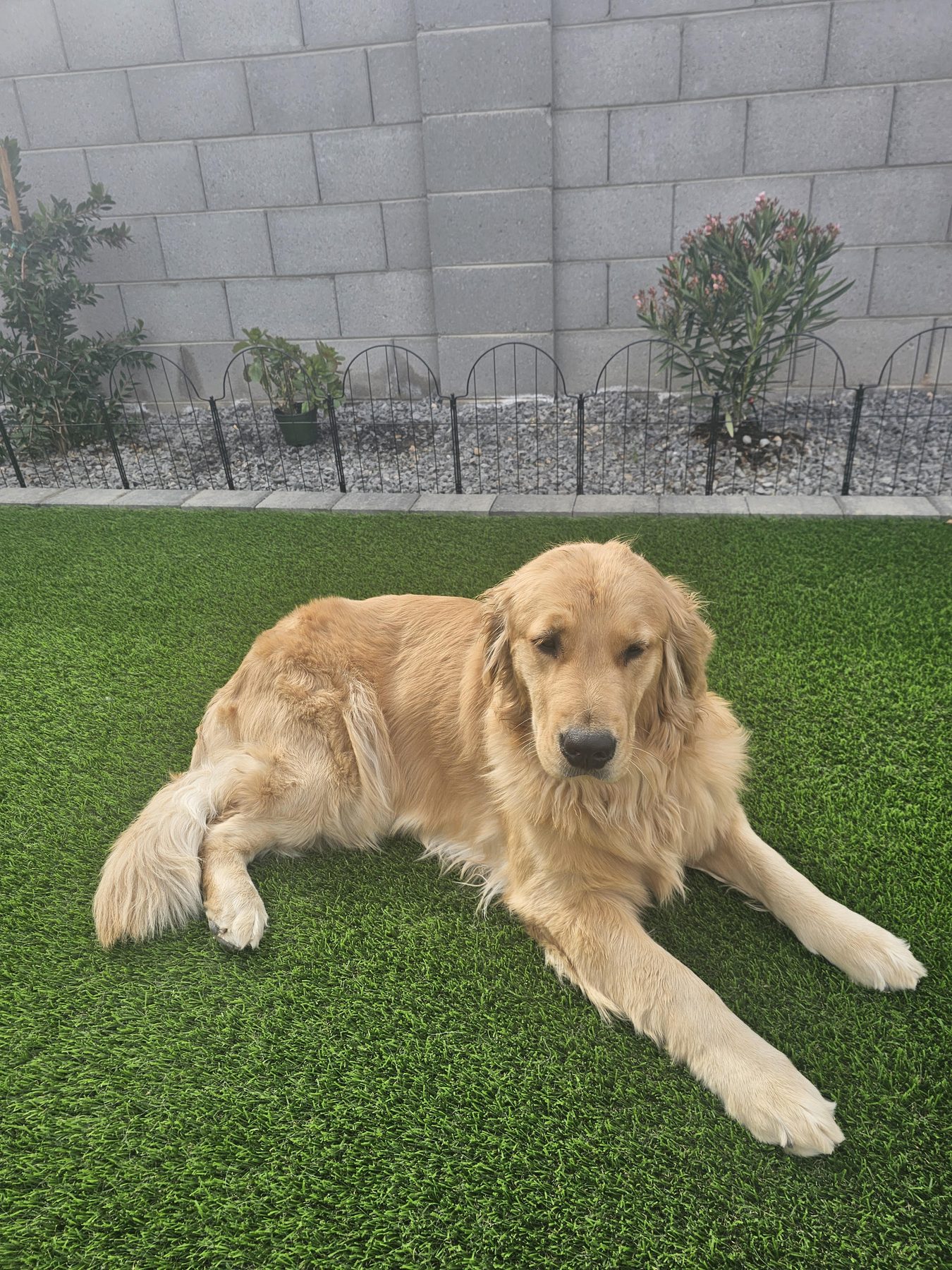 Zoe