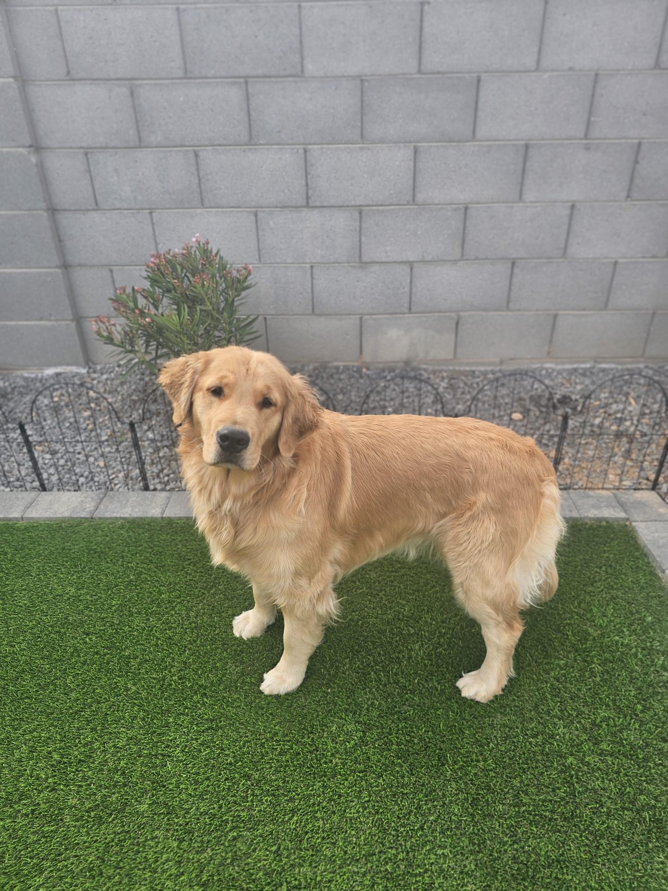 Zoe