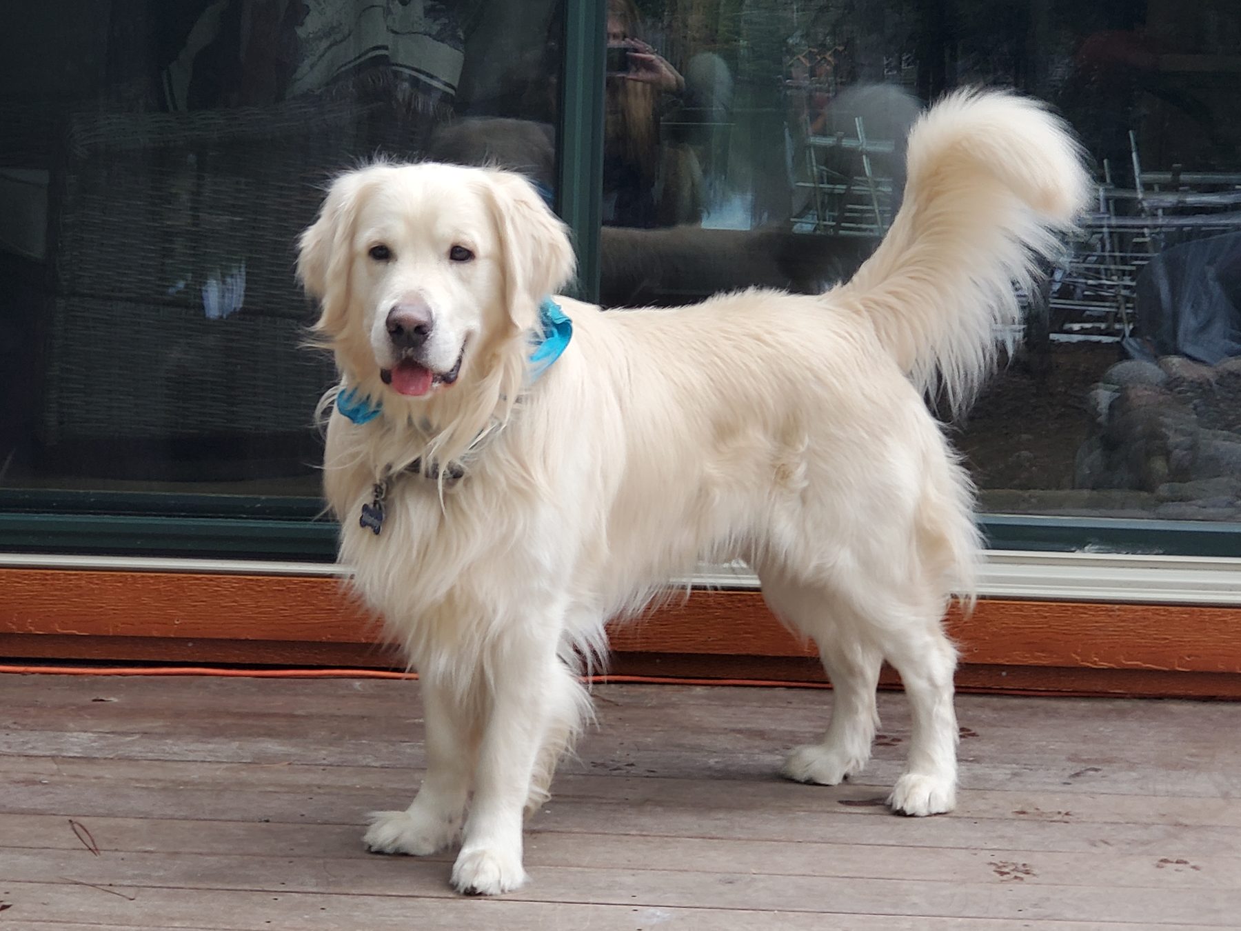 Marley